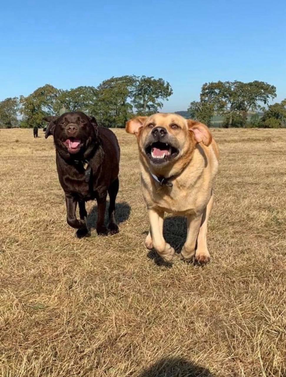 Adventure walks in the countryside