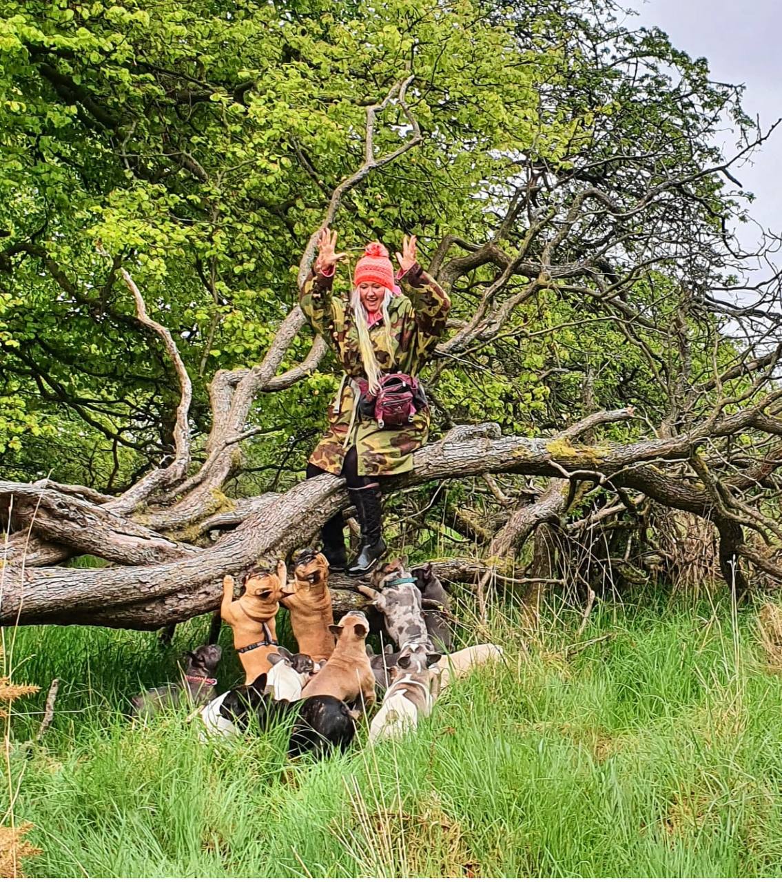 Enrichment activities