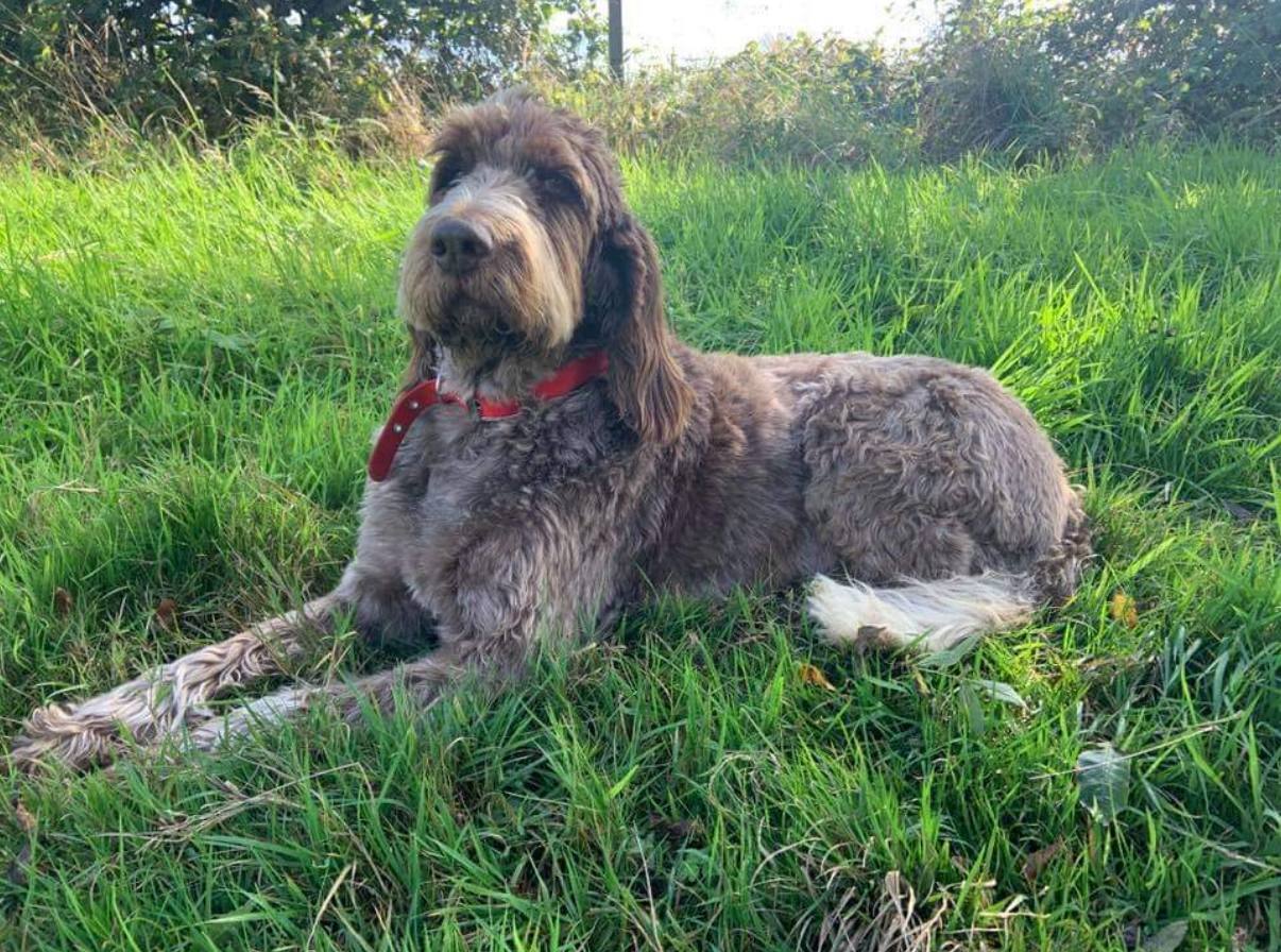 Golden hour — calm and connection