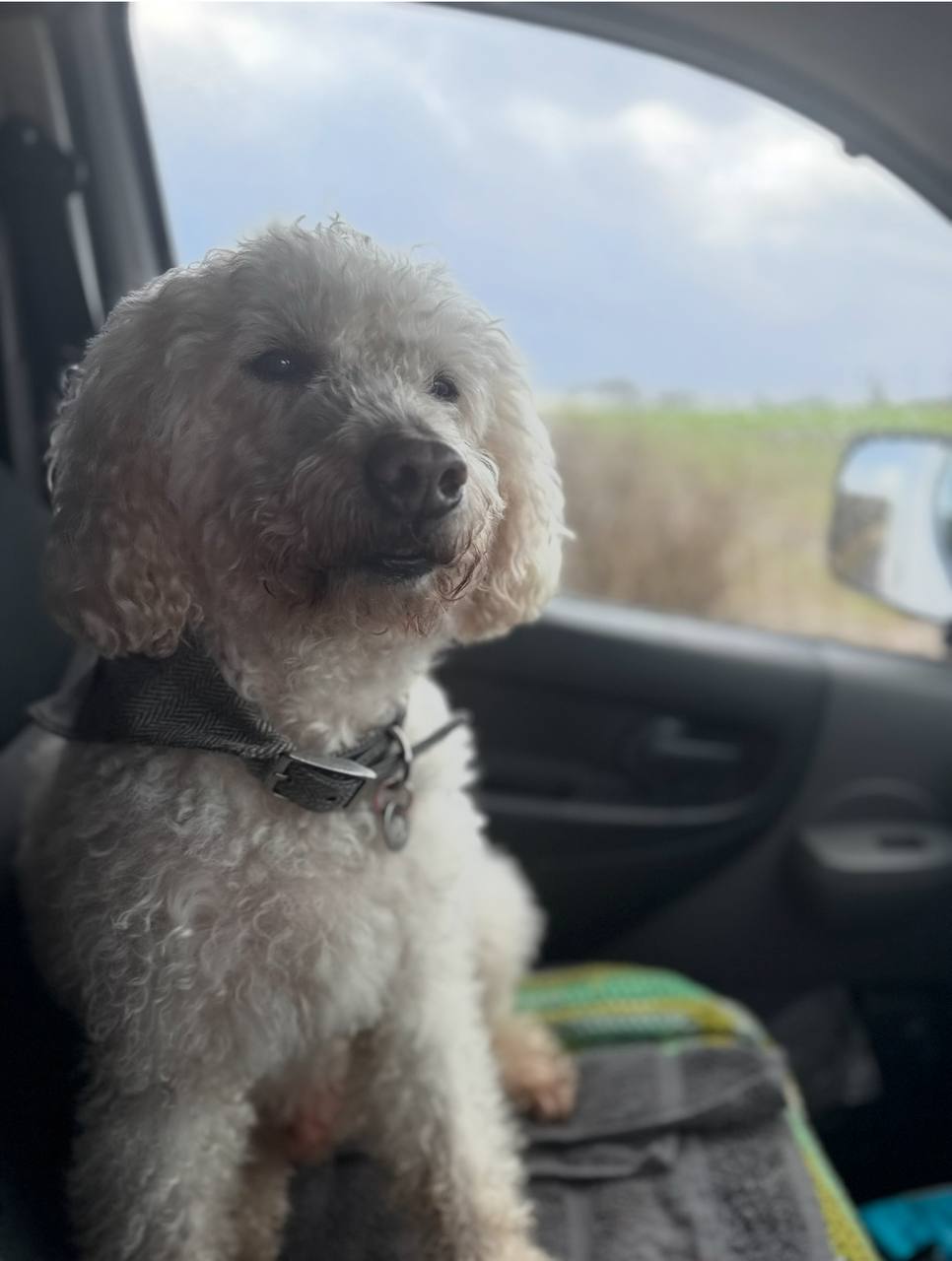 Home time — calm and content