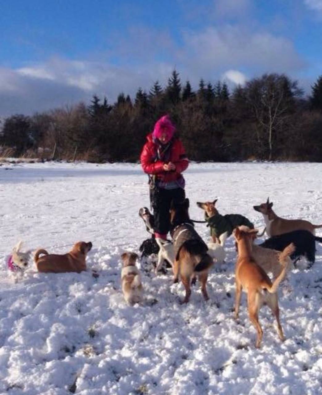 How it all began — Viviana